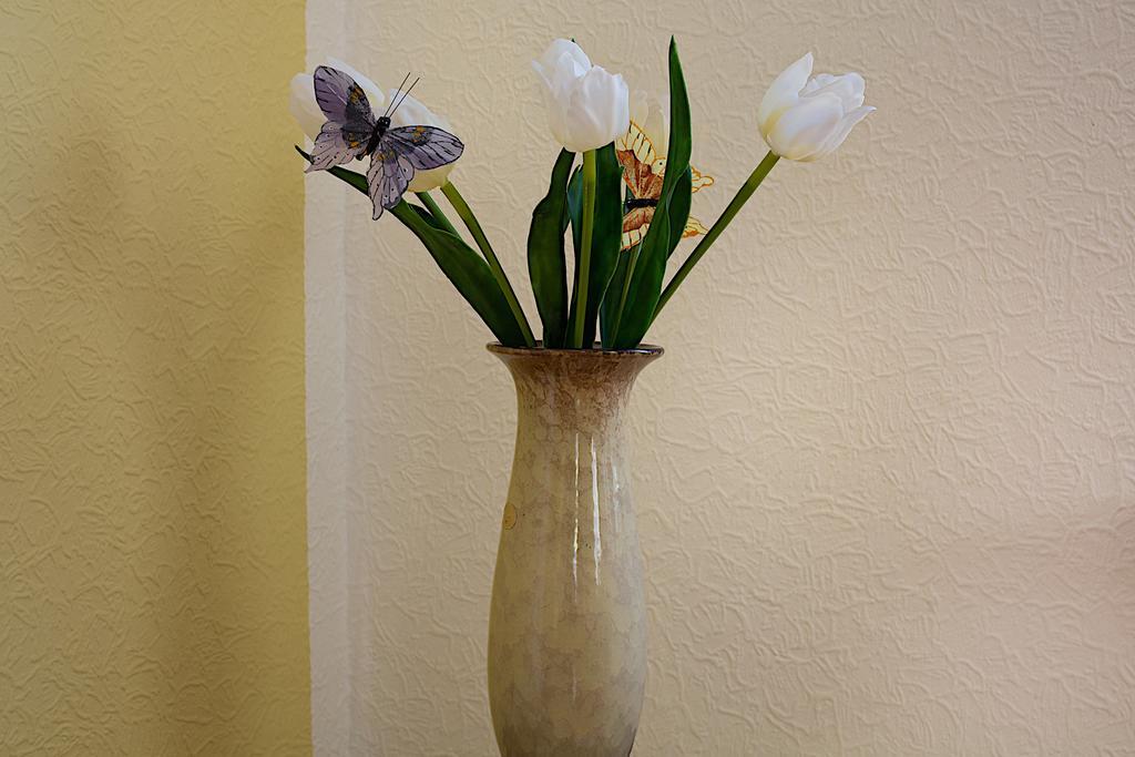 Appartement Efosa Kappel-Grafenhausen